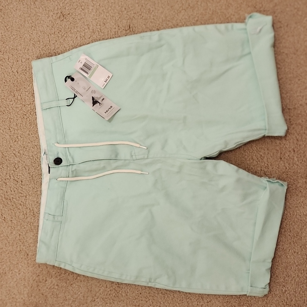 NWT  LRG dshhorts size 34